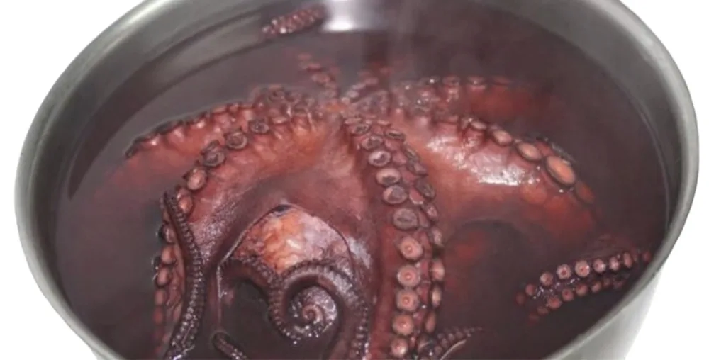 IMG_3759-1024x508 Cómo Cocer Pulpo: Trucos y Consejos