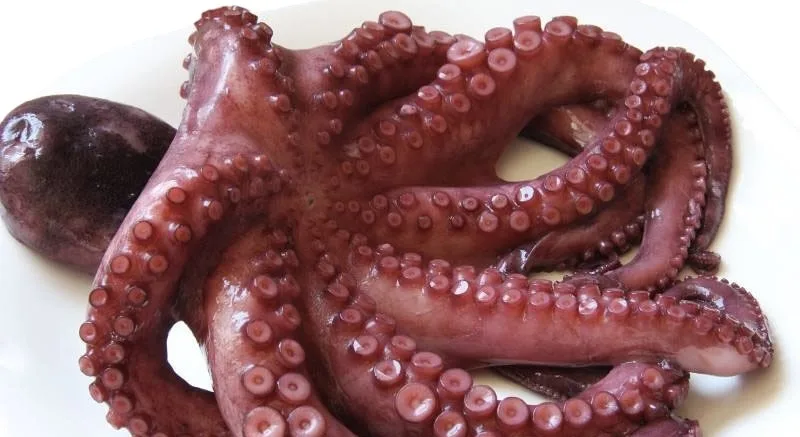 IMG_3761-jpeg Cómo Cocer Pulpo: Trucos y Consejos