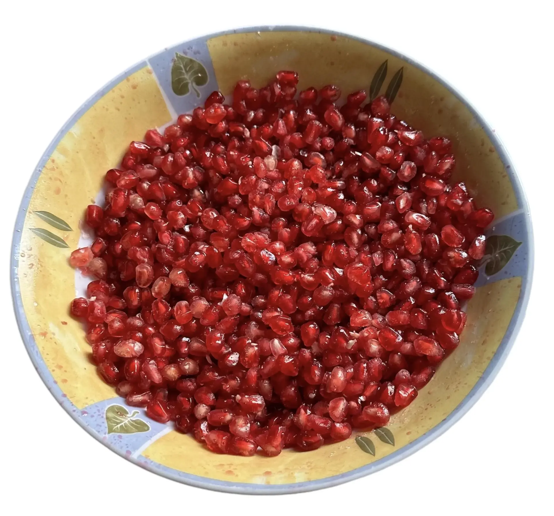 IMG 3958 1 jpeg webp