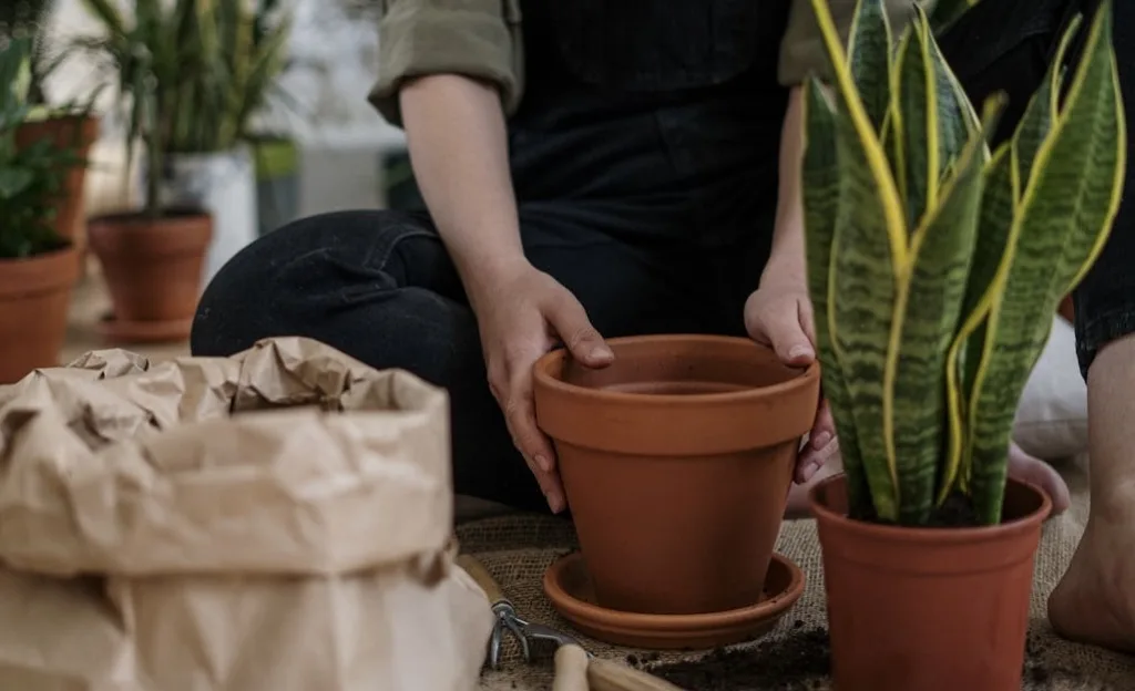 IMG_4254-1024x624 0.1. ¿Macetas o Jardineras para tu Huerto Urbano? Guía Completa para Elegir lo Mejor Según tus Cultivos