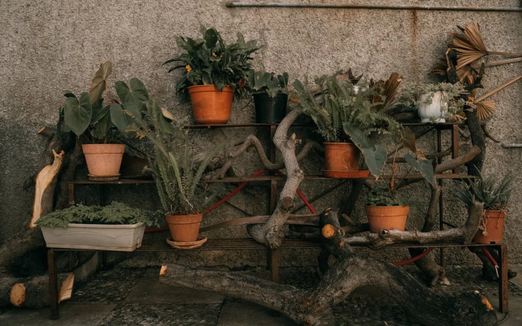 IMG_4258-1024x640 0.1. ¿Macetas o Jardineras para tu Huerto Urbano? Guía Completa para Elegir lo Mejor Según tus Cultivos