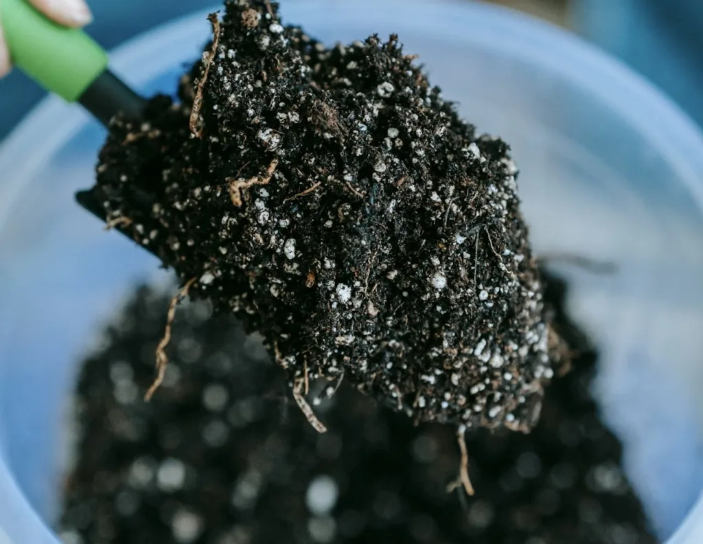 IMG_4265-1024x792 5. Cómo Establecer un Sistema de Riego Eficiente para tu Huerto Urbano