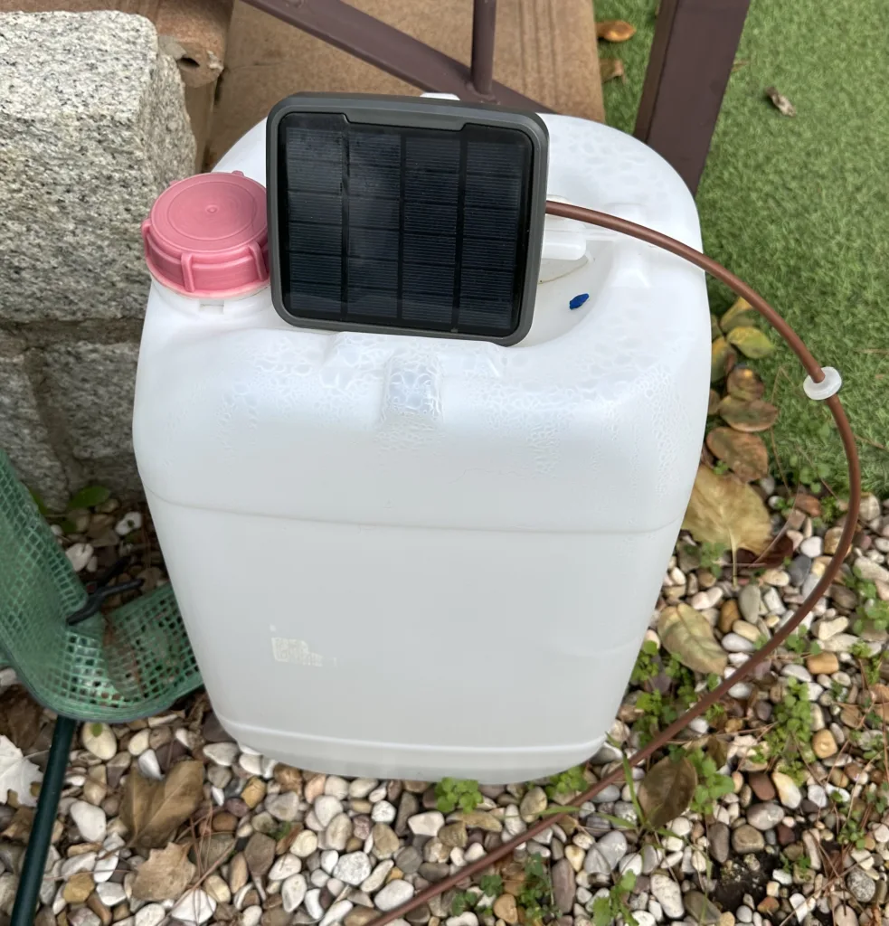 IMG_4278-983x1024 1. Cómo Preparar el Espacio Perfecto para tu Huerto Urbano