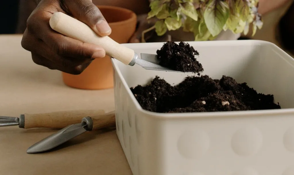 2. Cómo Elegir el Sustrato Perfecto para tu Huerto Urbano: La Base de un Cultivo Saludable ilustración