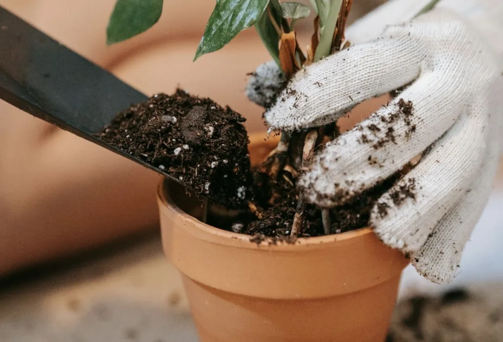 2. Cómo Elegir el Sustrato Perfecto para tu Huerto Urbano: La Base de un Cultivo Saludable ilustración