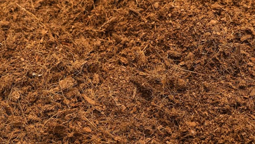 2. Cómo Elegir el Sustrato Perfecto para tu Huerto Urbano: La Base de un Cultivo Saludable ilustración