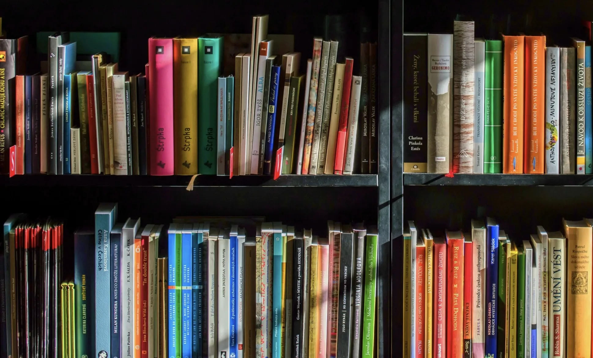 Biblioteca con libros