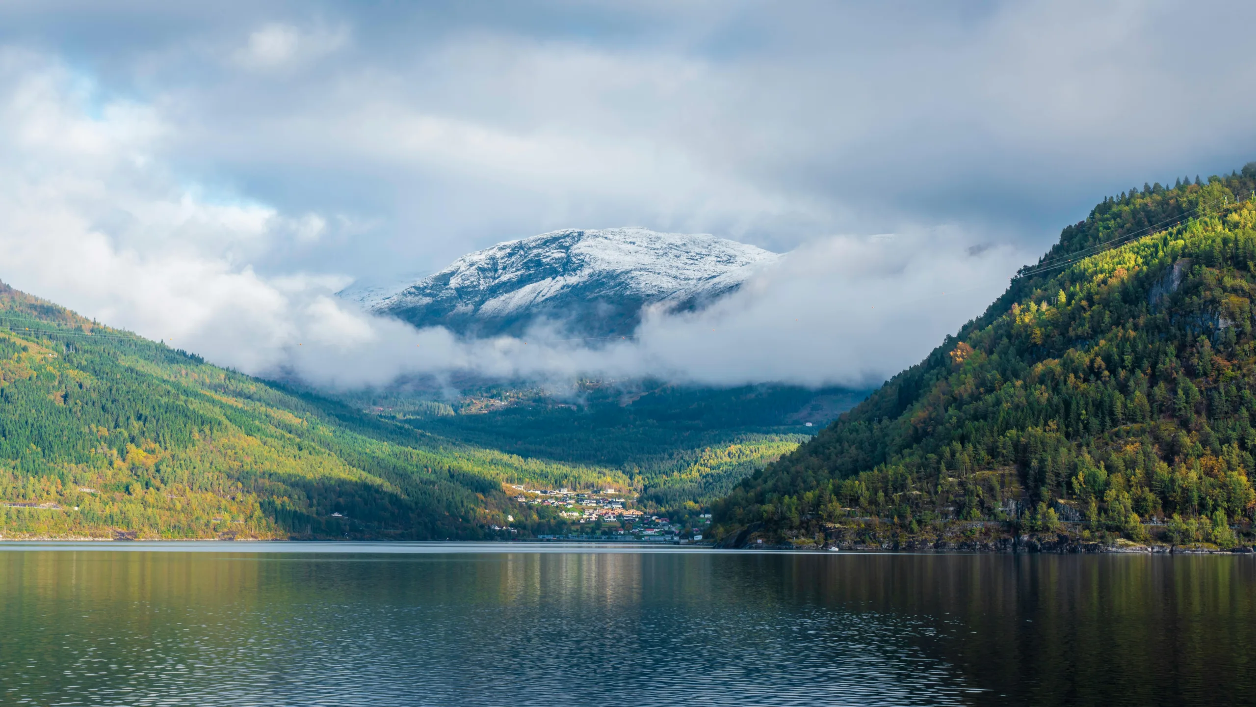 IMG_0639-scaled Cajón de Sastre: Gastronomía, Salud y Actualidad