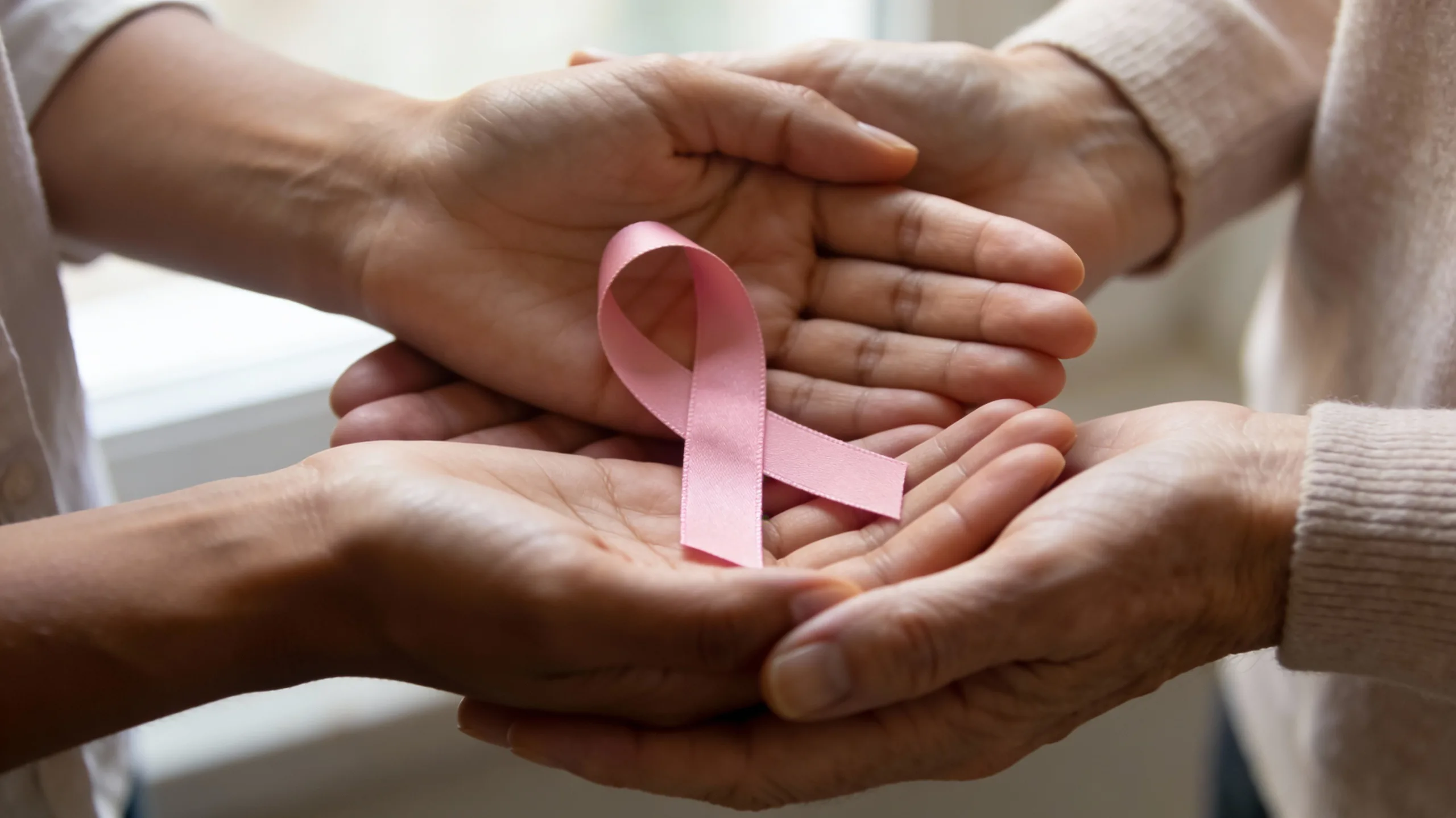 IMG_6679-scaled Cajón de Sastre: Gastronomía, Salud y Actualidad